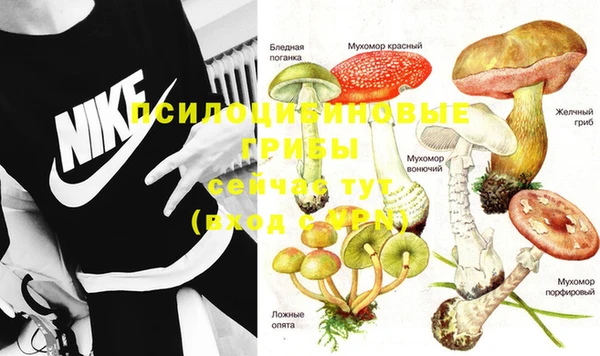 mix Пролетарск
