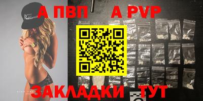 шишки Аргун