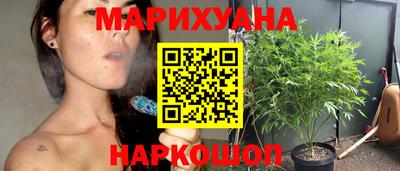 шишки Аргун